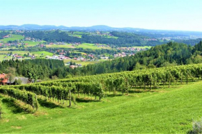 Genuss Appartement am Familien Weingut